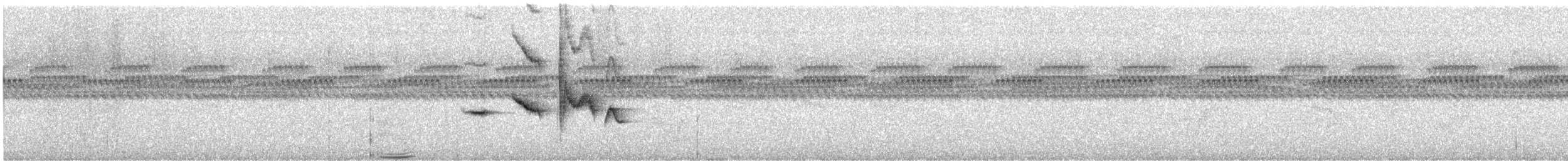 Hegaztia sp. - ML646276737