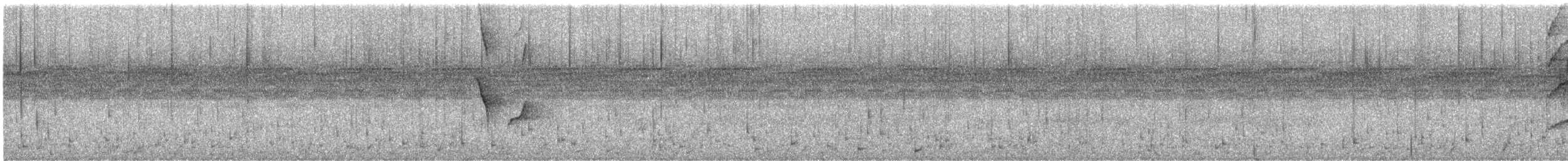 Bronzed Drongo - ML646277013