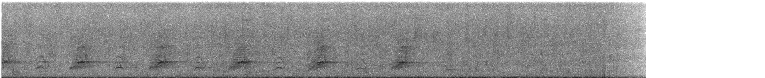 Hegaztia sp. - ML646277067