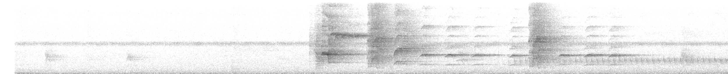 Tooth-billed Bowerbird - ML646277724