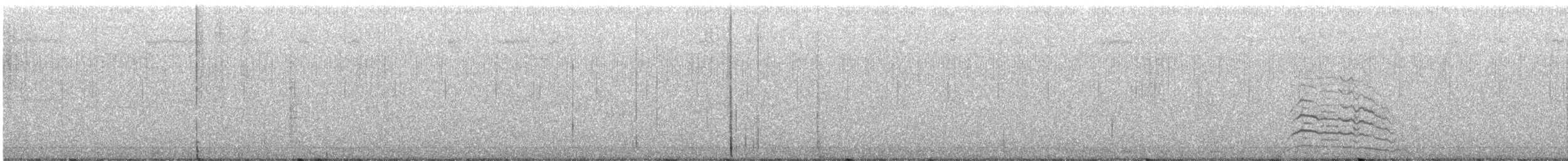 長耳鴞 - ML646278185