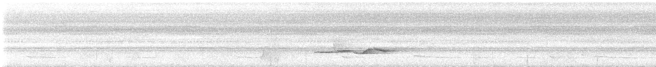 Perlhals-Buschtimalie - ML646278446