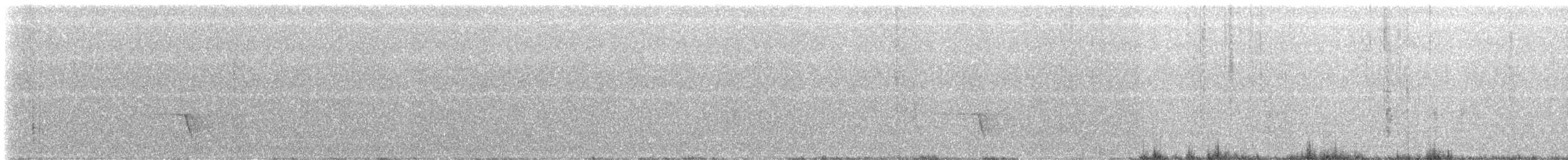 Rufous Whistler - ML646278671