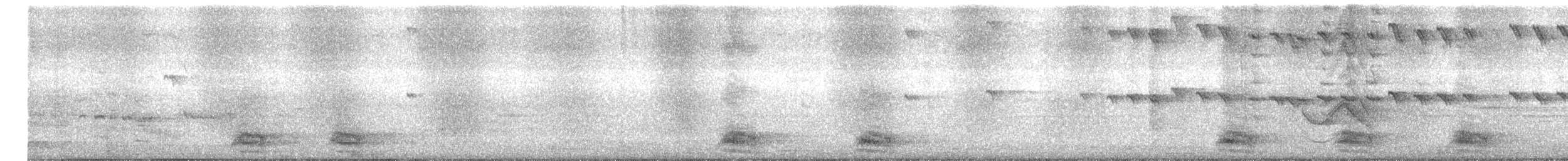 Kalapitari mokohoria - ML646279460