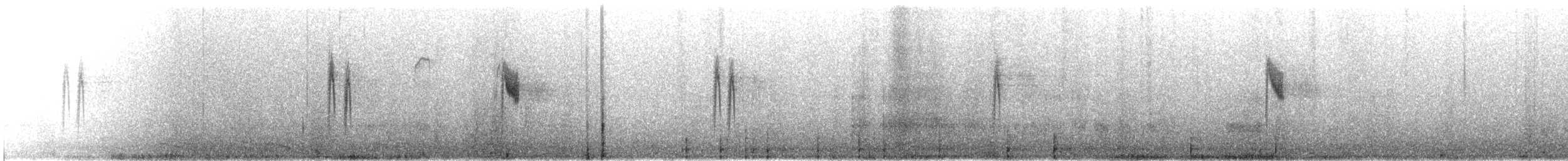 Buztanikara pinto japoniarra - ML646279463