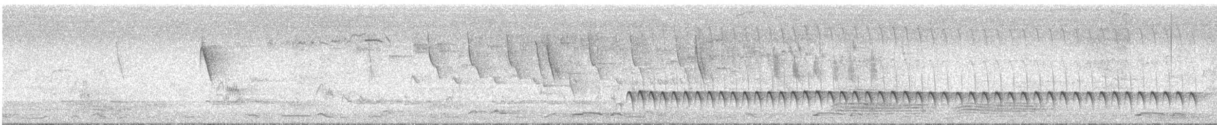 Painted Honeyeater - ML646279582