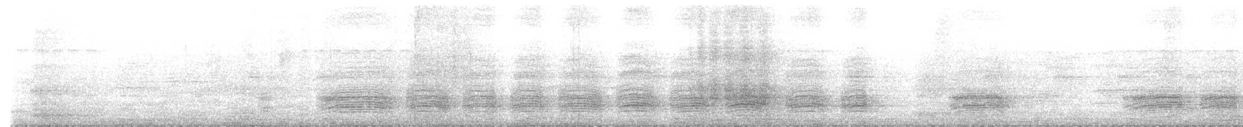 Témia vagabonde - ML646280006