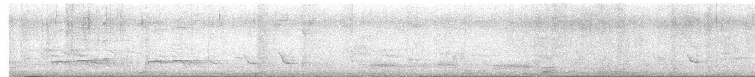 Coucou shikra - ML646280052