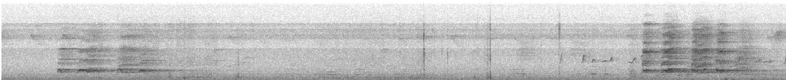 Курка сіра - ML646280355