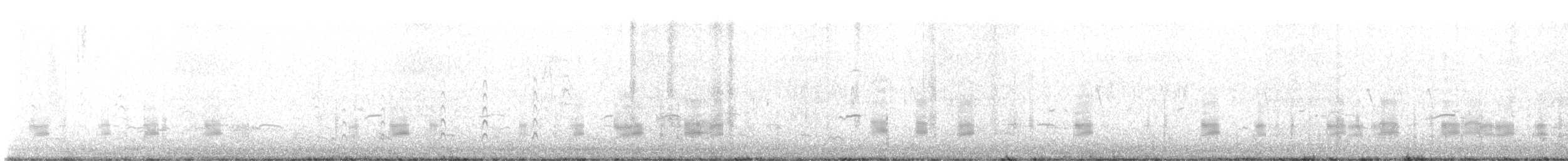 Gadwall - ML646280603