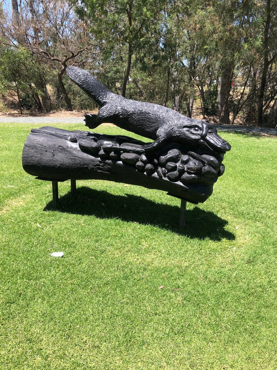 Animals - ML646280612