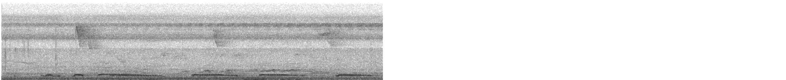 Tourterelle tigrine - ML646280678