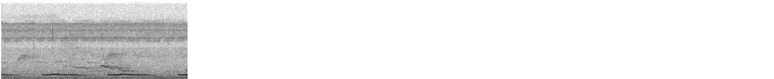 Tourterelle tigrine - ML646280701