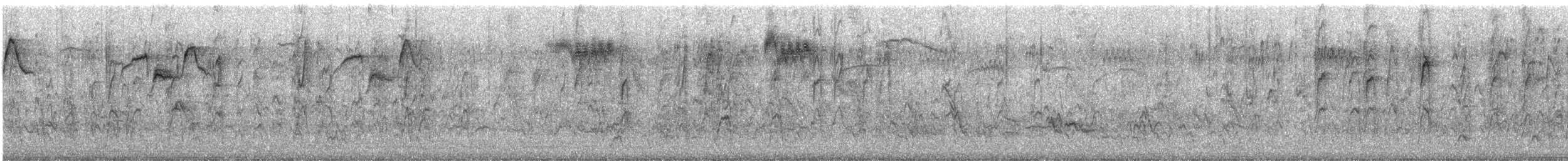 špaček obecný - ML646281071