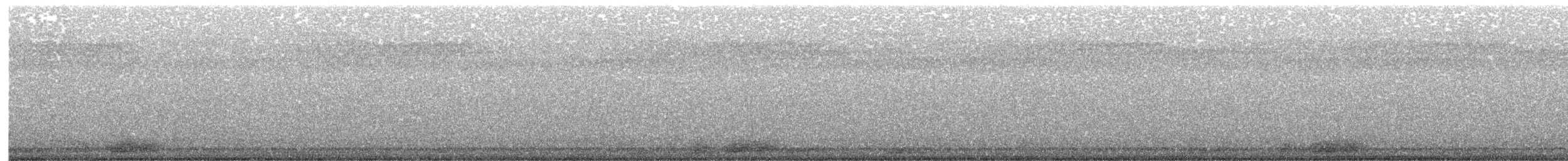 Tawny Frogmouth - ML646281103