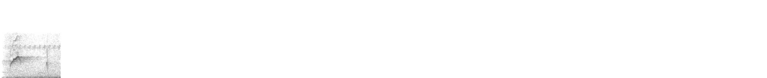 White-gaped Honeyeater - ML646281167