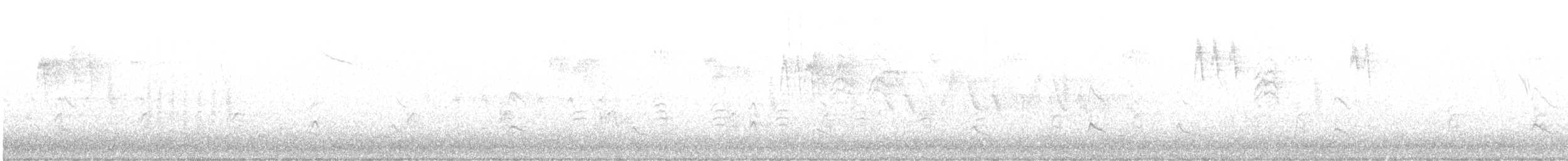 salašník západní - ML646281292