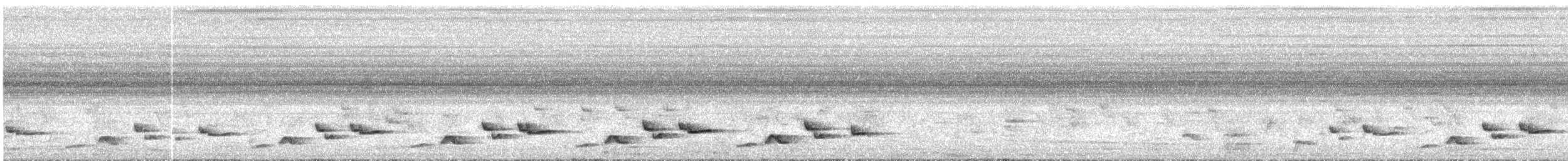 White-browed Robin-Chat - ML646281374