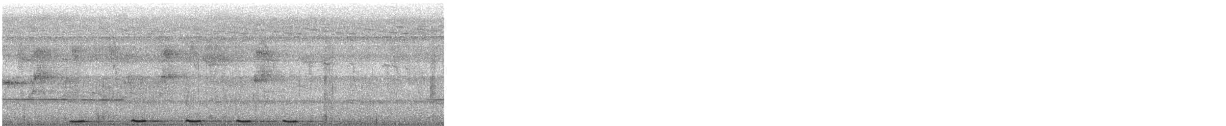 Greater Coucal - ML646281593