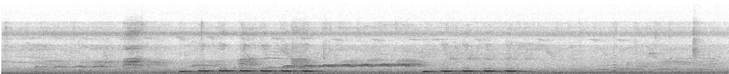 Greater Coucal - ML646281646