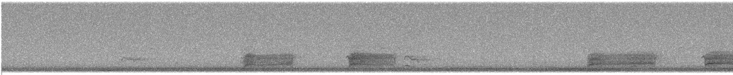 Black-winged Kite - ML646282414