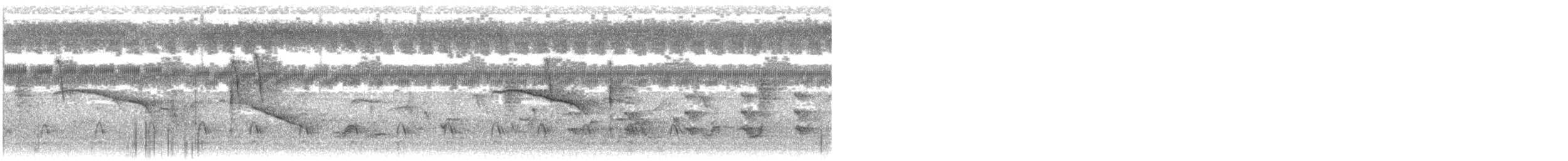 Büyük Raket Kuyruklu Drongo - ML646282841