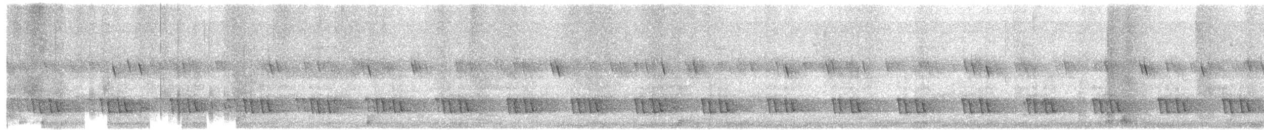 Kırçıllı Barbet - ML646283138