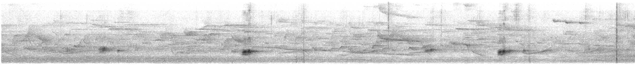 Java White-lipped Frog - ML646283239