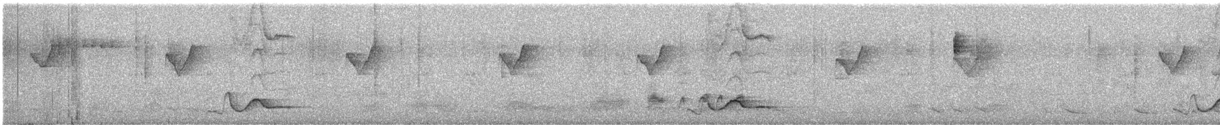 Assam Gevezeardıcı - ML646283376