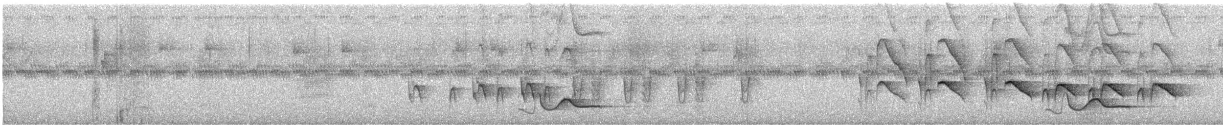 tanımsız Aves sp. - ML646283438