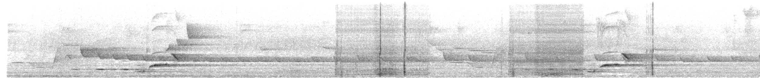 Gri Islıkçıardıç - ML646283506