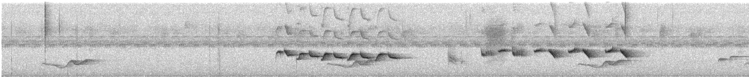 tanımsız Aves sp. - ML646283566