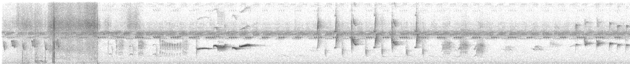 tanımsız Aves sp. - ML646283567