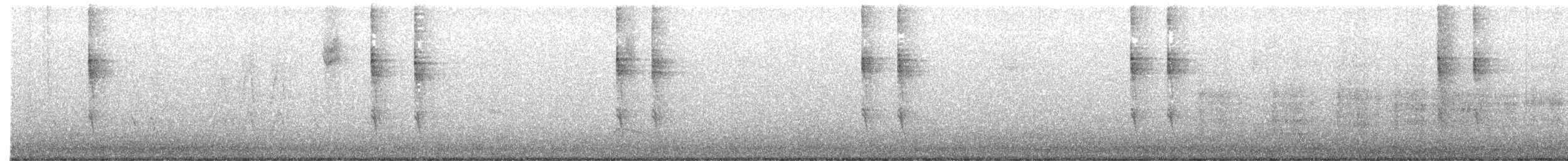 Pasifik Çıtkuşu - ML646283582