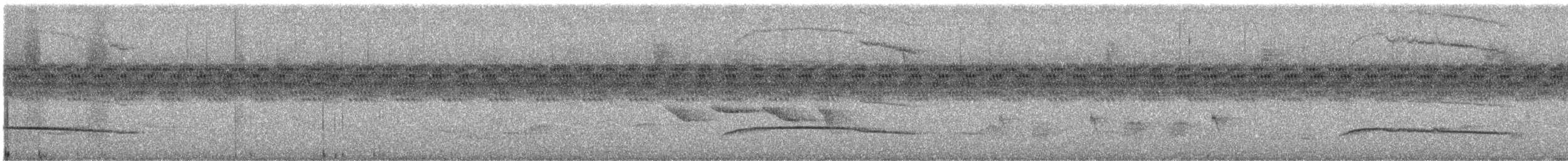 bird sp. - ML646283676