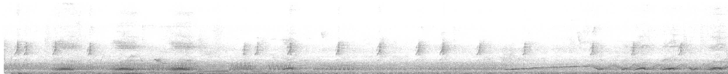 Schalow Turakosu - ML646283717