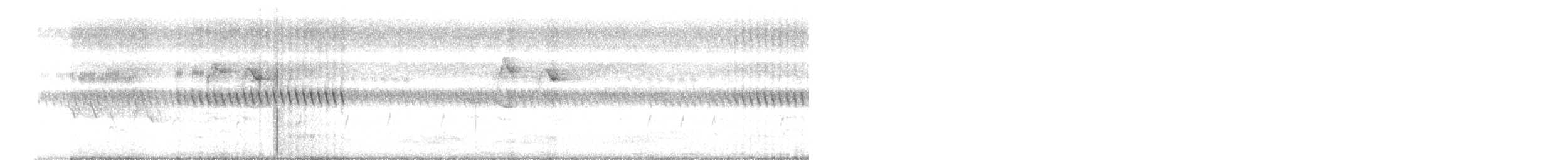 Suimanga Cingalés - ML646284037