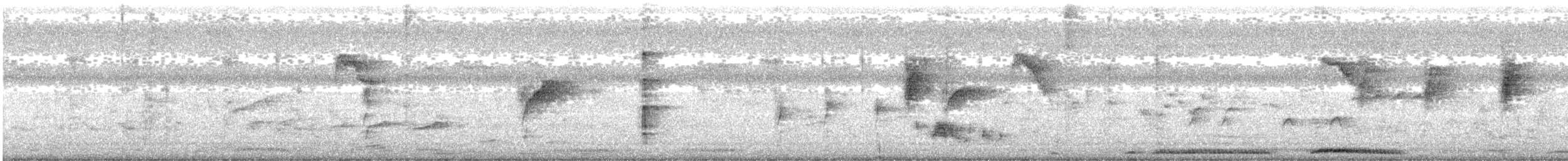 Yellow-crowned Woodpecker - ML646284155