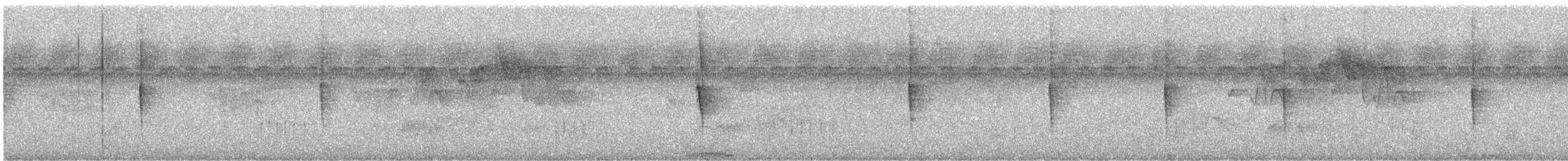 bird sp. - ML646284297