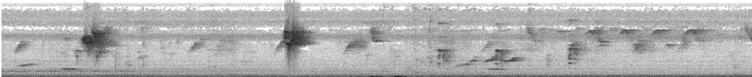 Yellow-crowned Woodpecker - ML646284302