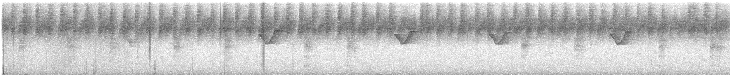 bird sp. - ML646284373