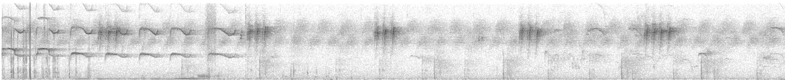 loboš dlouhoocasý - ML646284476