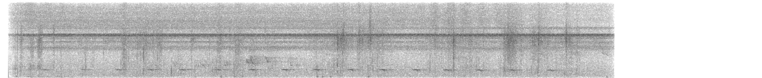 Bar-tailed Trogon - ML64628471