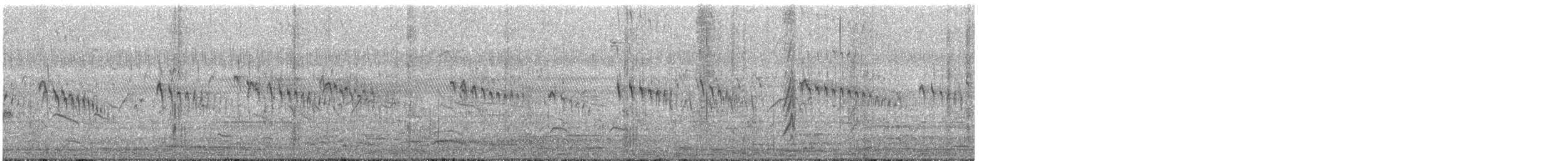 ニシヒメアマツバメ - ML646284915