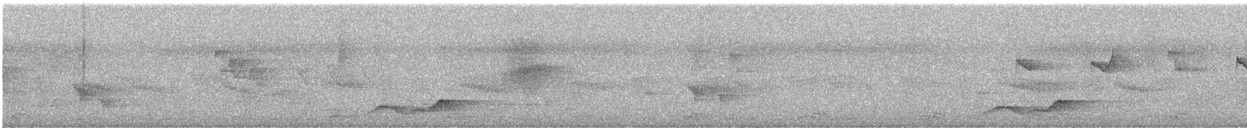 Charlatán de Assam - ML646285059