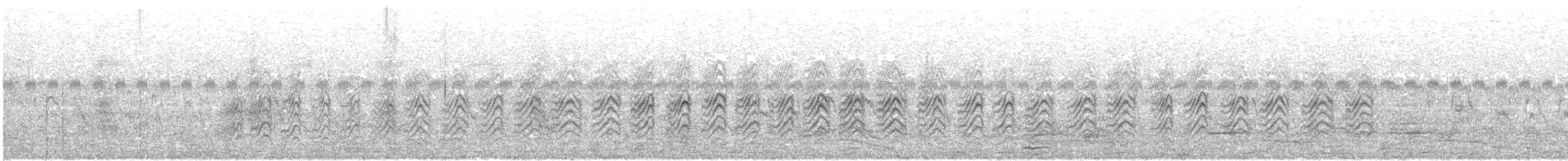 Large Gray Babbler - ML646285424