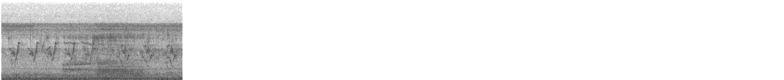 volavka stříbřitá - ML646285488