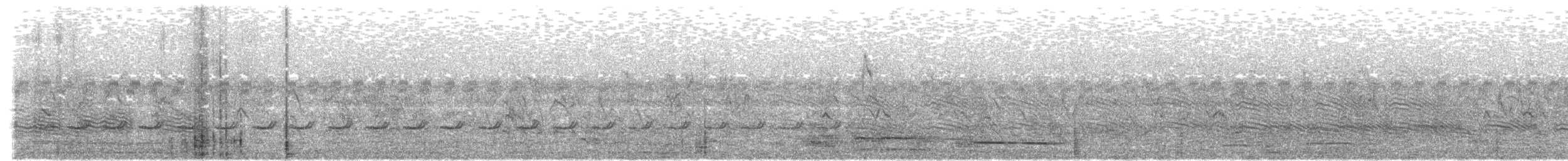 イワヤブウズラ - ML646285633