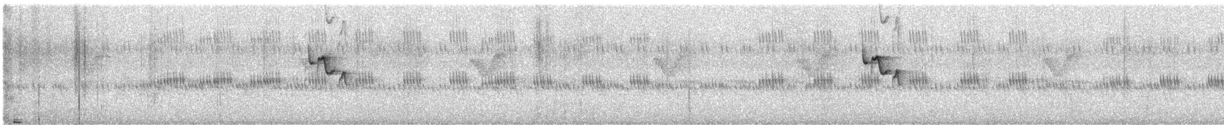 oiseau sp. - ML646285709