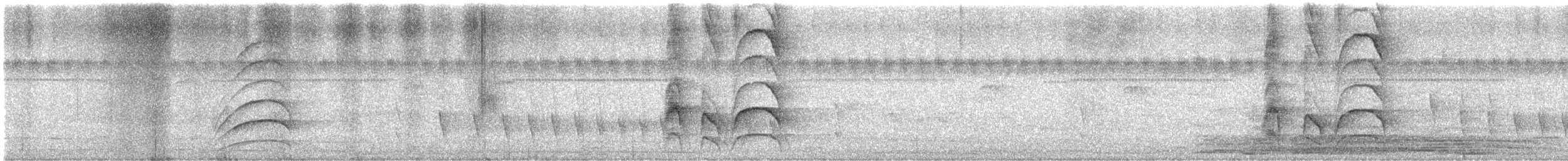 Tyran quiquivi - ML646285721